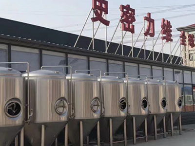 荣昌精酿啤酒设备厂—如何判断精酿啤酒设备的密封件需要更换？
